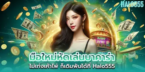 Newbie learning to play baccarat Not good at playing cards You can bet at Halo555.