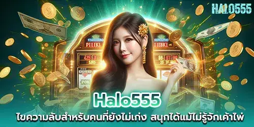 Halo555 reveals secrets for those who are not yet skilled. You can have fun even if you don't know the cards.