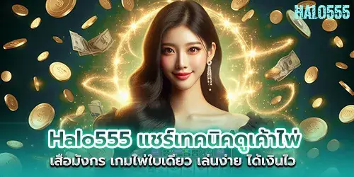 Halo555 shares techniques for viewing cards in Dragon Tiger, a single card game, easy to play, get money quickly.